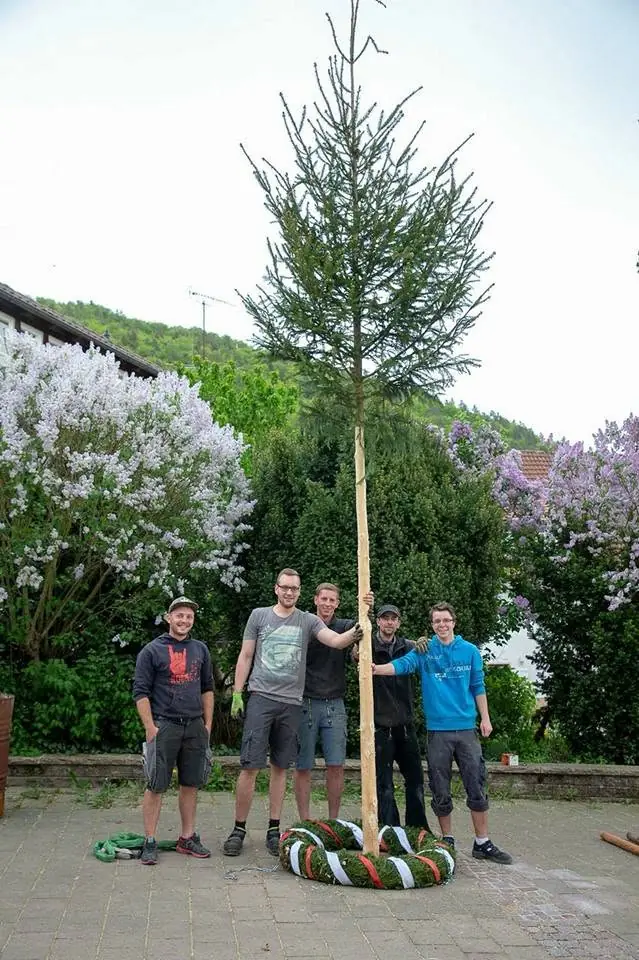 Helfer des Jugendhauses beim Maibaumstellen